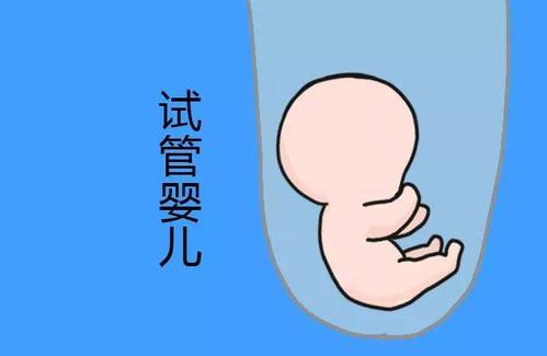 试管代孕包成功男孩